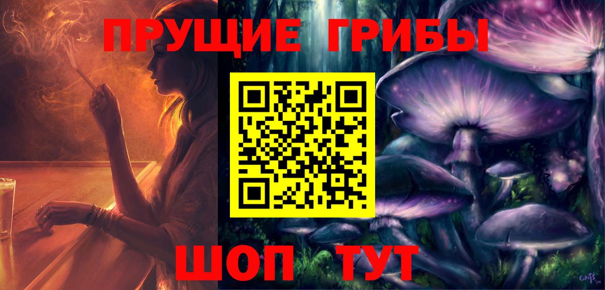 Ачхой-Мартан  Галлюциногенные грибы MAGIC MUSHROOMS  Вход с VPN  Псилоцибиновые грибы Magic Shrooms 
