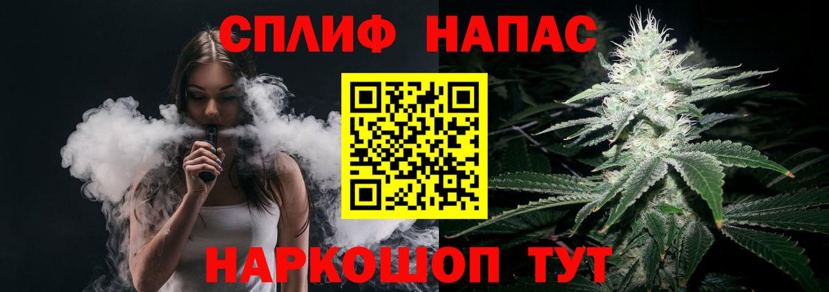Каннабис планчик Ачхой-Мартан